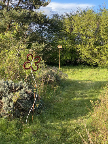 santoline au jardin