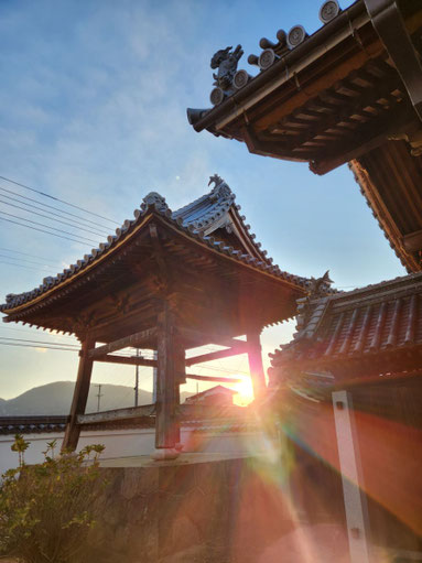 1月2日、鐘楼越しに差し込む朝日を撮影しました。