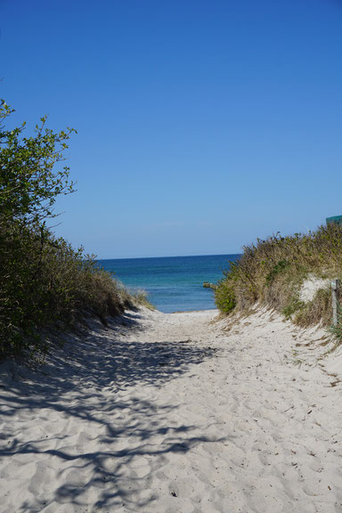 Zwischen Meer und Bodden . Fischland, Darß, Zingst, Teil II