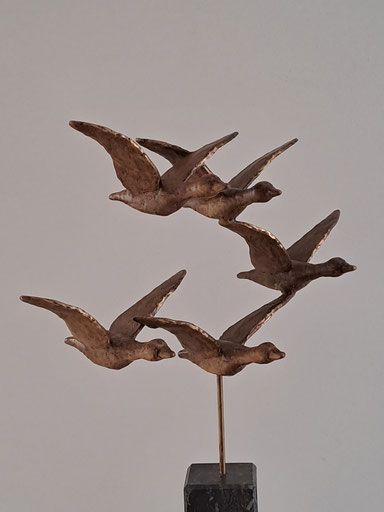 Vogelvlucht 39cm x 30cm brons