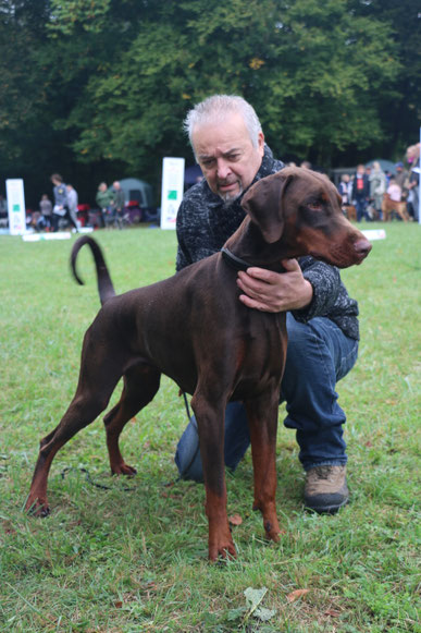 CH. SIRCEY DELLA GUARDIA NERA - Photo de ANNE BAZOT