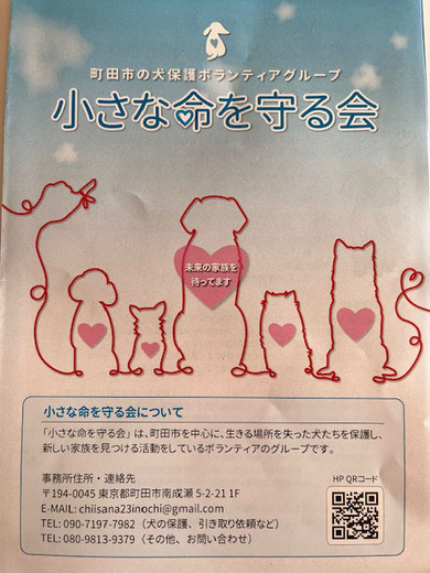 町田市 小さな命を守る会 犬 猫 ボランティア