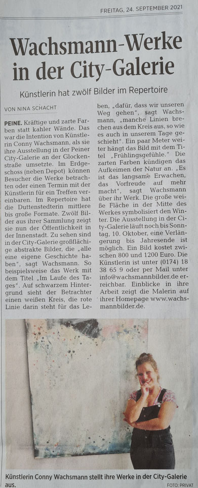 Kunst in Peine