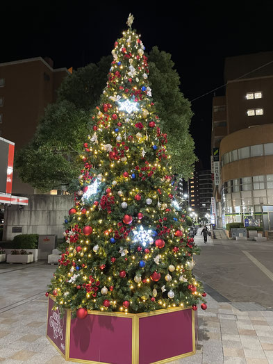 宝塚駅のクリスマスツリー