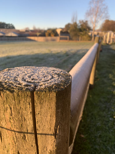 Frosty fence post