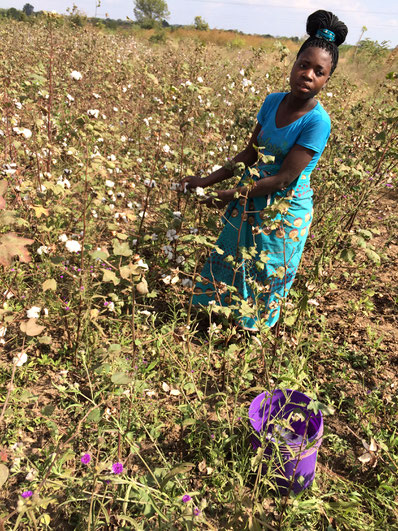 Cotton farmer in Mozambique (CHA, 2018)