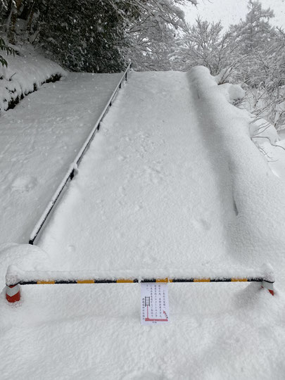大雪の正面参道
