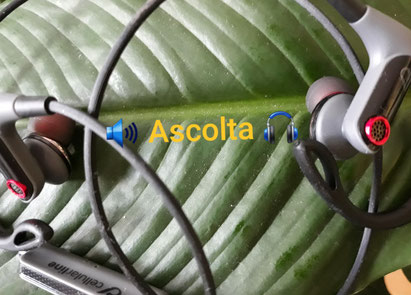 Hundertwasser Spittelau-Ascolta MP4