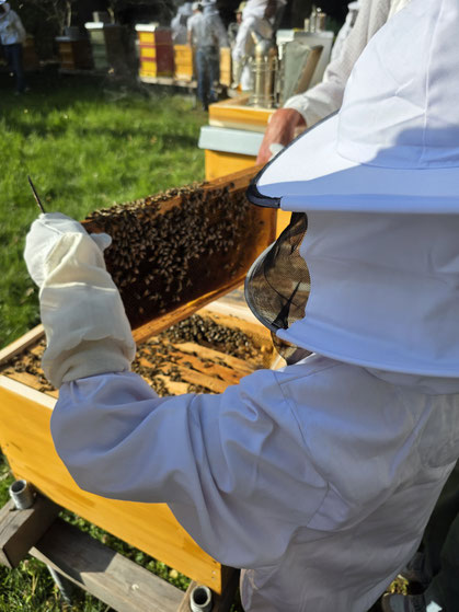 Imkerkurs Praxis Bienenstock öffnen