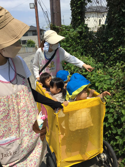 きれいに咲いた紫陽花を見つけたり、ちょうちょに手を伸ばしたり、たくさんの発見がありました！