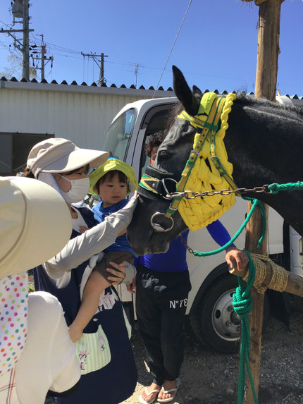 普段、見る機会がない大きな馬に、興味津々でした。