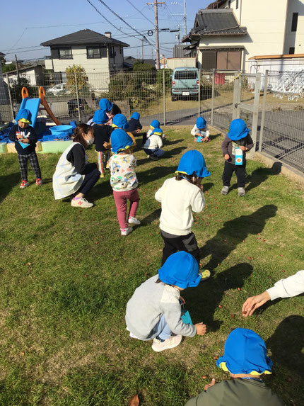今日、ほし組さんは、テラスでどんぐり拾いをしました。みんな、お散歩バックいっぱいに、どんぐりを拾っていました。