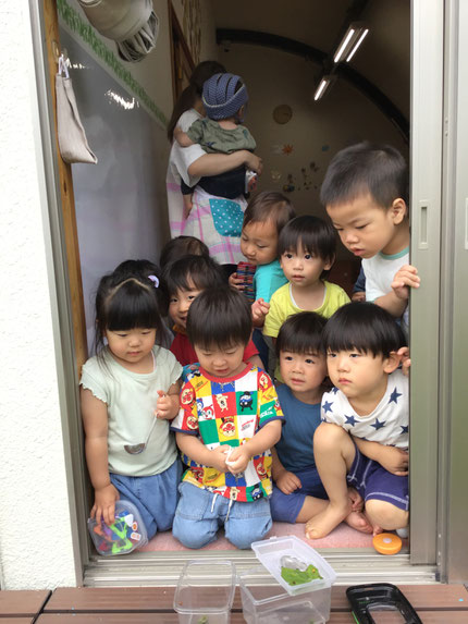 今日は、保育園で飼っていたてんとう虫の蛹から５匹のてんとう虫が出てきました。「きいろいね！」「あかいてんがある！」「いっぱいてんてんのもいる！」とみんな大喜びで見ていました。テラスにてんとう虫を放すと、「またきてねー！！」と手を振っていました。
