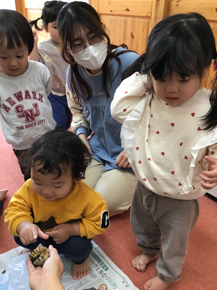 最初は大きな幼虫にびっくりして、遠巻きに見ていましたが、みんな興味津々で「ちょっとさわれた！」「かたい！」と手を伸ばして触っていました。
