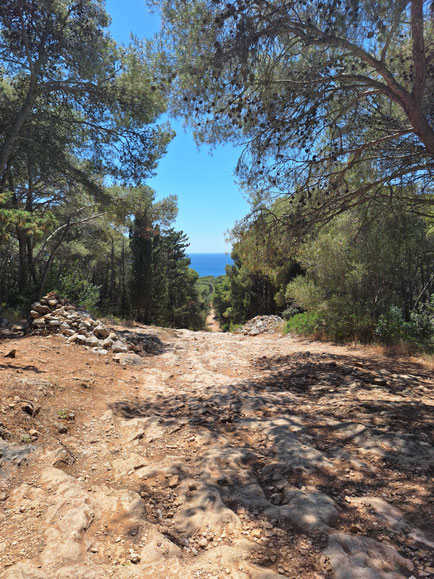 Chemin menant à la plage de Porto Selvaggio