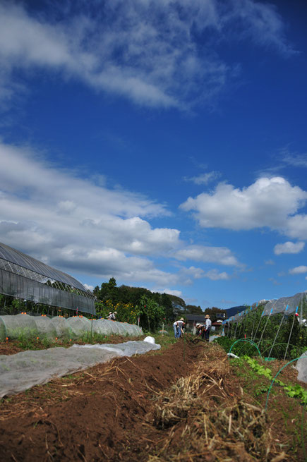 来年に備える地ごしらえの作業＠さとやま農学校・すどう農園