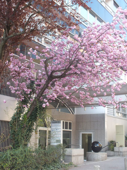 Bürostandort Geleitsstraße 14, 60599 Frankfurt am Main