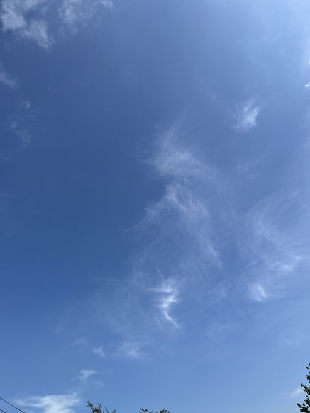 お彼岸 お空組の動物たちへ
