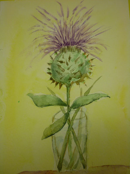 Sept.2015 - Eine Distel namens "Strubbelchen"