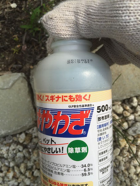 どうやってスギナを殲滅するかは結構重要な問題!その解決策はこれだ!!!