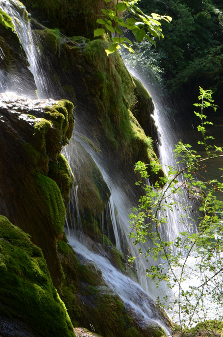 Cascade des Tufs - Jura - Août 2019