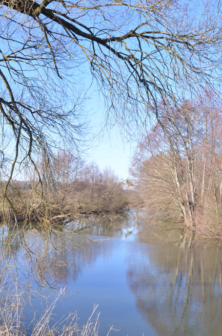 Promenade au bord de la Saône - Février 2019 