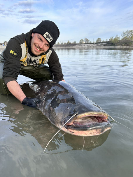 Welsguiding mit Peter Merkel am Fluss Po in Italien