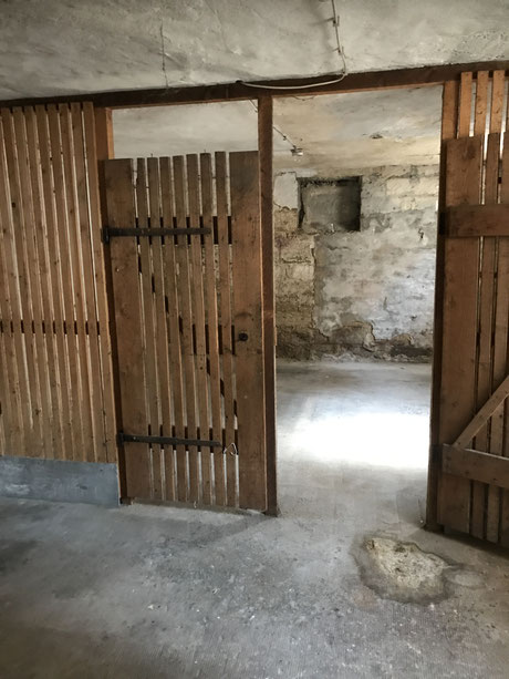 Vohrer Schimmel im Kellerraum und alte Kellerverlattung