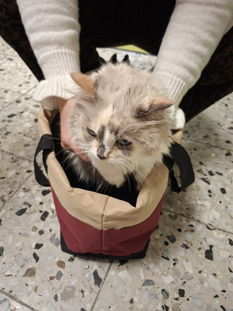 07.11.2025_Nilla_Foto: Oetken