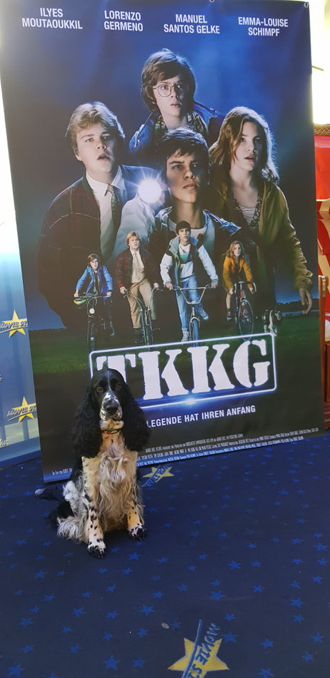 Filmhund Zelda "Jolanthe vom Belauer See", Foto: Svenja Arendt