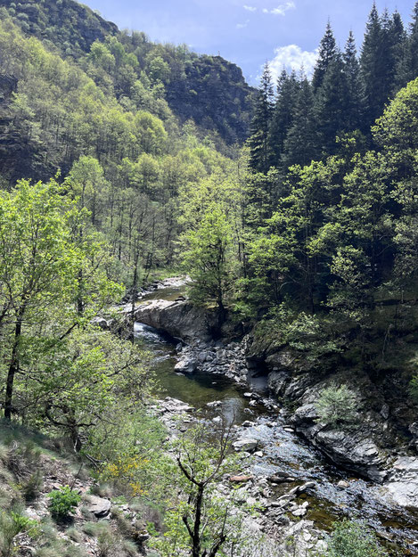chemin de stevenson