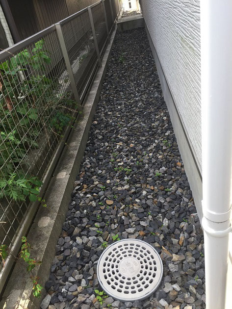 家の東側はあまり草は生えていないが、それでもちょっと生えている