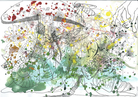 Wiesenexplosion