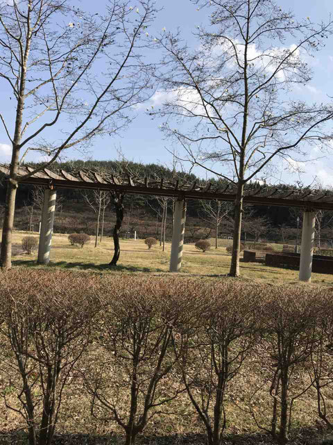 須賀川市 藤沼湖自然公園