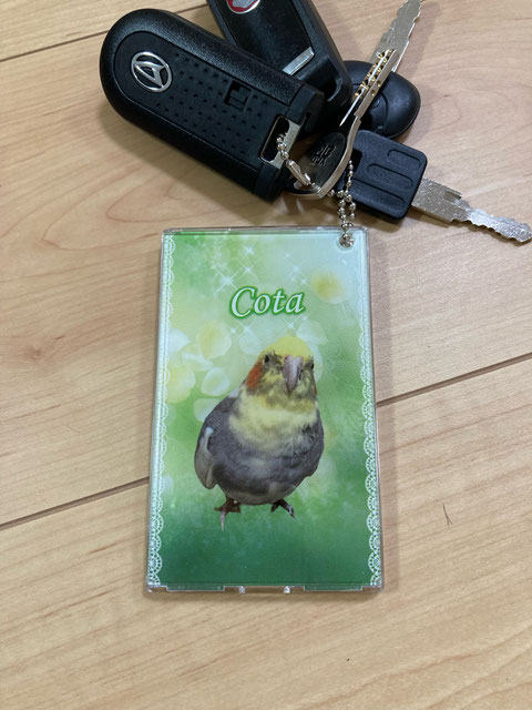 インコ ICパスケース 