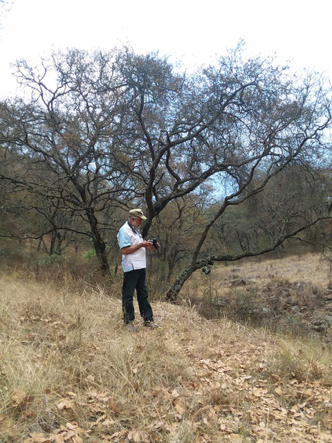 Raúl Pontón en su habitat, San José Deguedó, Edo. México. ©R. Pontón