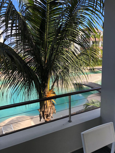 ACHAT IMMOBILIER T2 - 4 couchages - MONT CHOISY - ILE MAURICE 