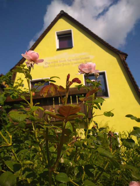 Gößweinstein, Ferienhaus am Klostergarten, Sommer in Gößweinstein, Rosen