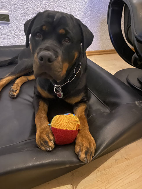 Aino 3 Jahre