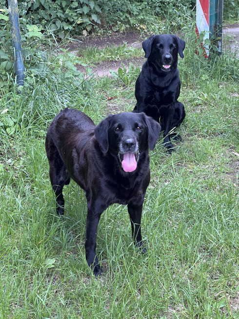 Callie und ihr bester Freund Baxter💙