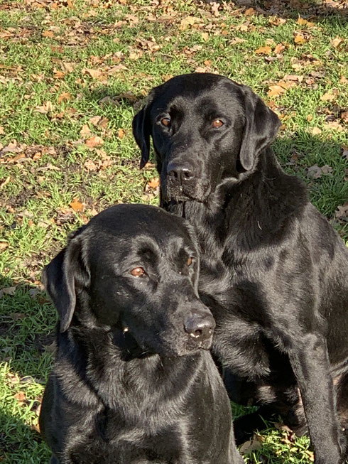 hinten: Hunter und vorne Sohn Clyde