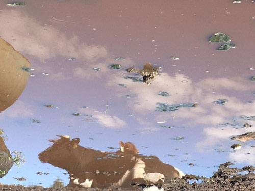 I have no idea how the photographer did this but sure is a neat photo!