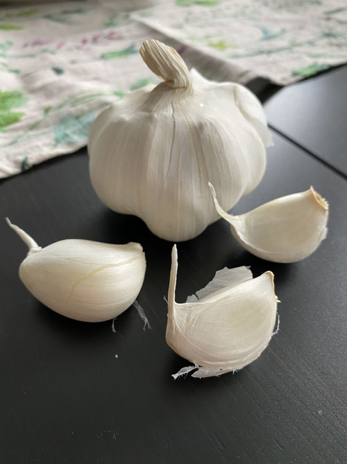 Knoblauchknolle und Knoblauchzehen