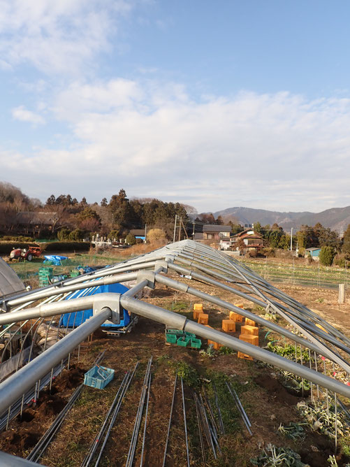 無農薬の野菜作り教室・さとやま農学校＠すどう農園