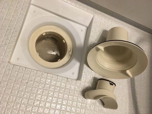 浴室排水口のトラップ内部を薬品とブラシで清掃している様子。バイオフィルムと汚れを除去してチョウバエの発生源を改善。