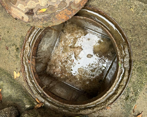 トイレ側の桝の作業前写真。桝から桝の間の埋設管で詰まりが発生している状態。