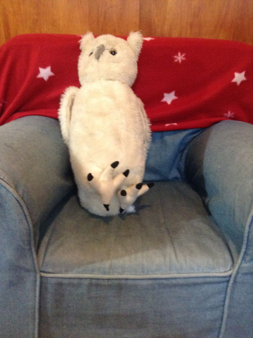 Snowy - Kind of the 2nd in command (Snowy Owl) 17"