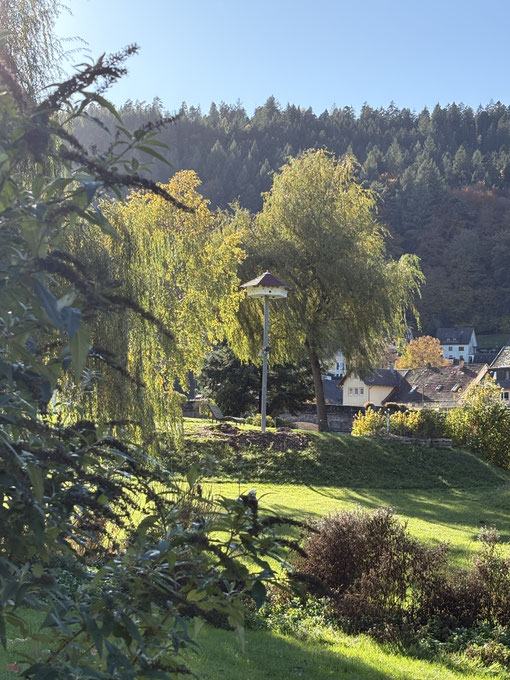 Artenschutzturm Hirsau, Foro: NABU CAlw