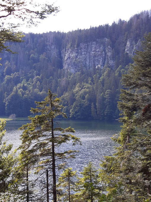 Karwände