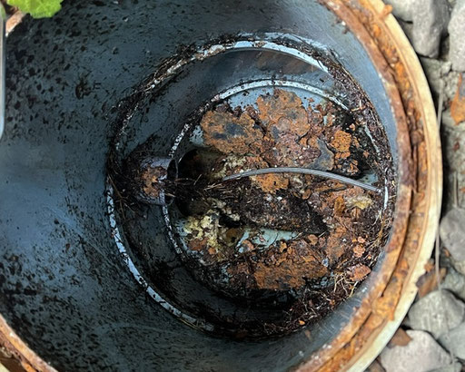 排水口で木の根・油脂・蓋の錆びが固まっている写真